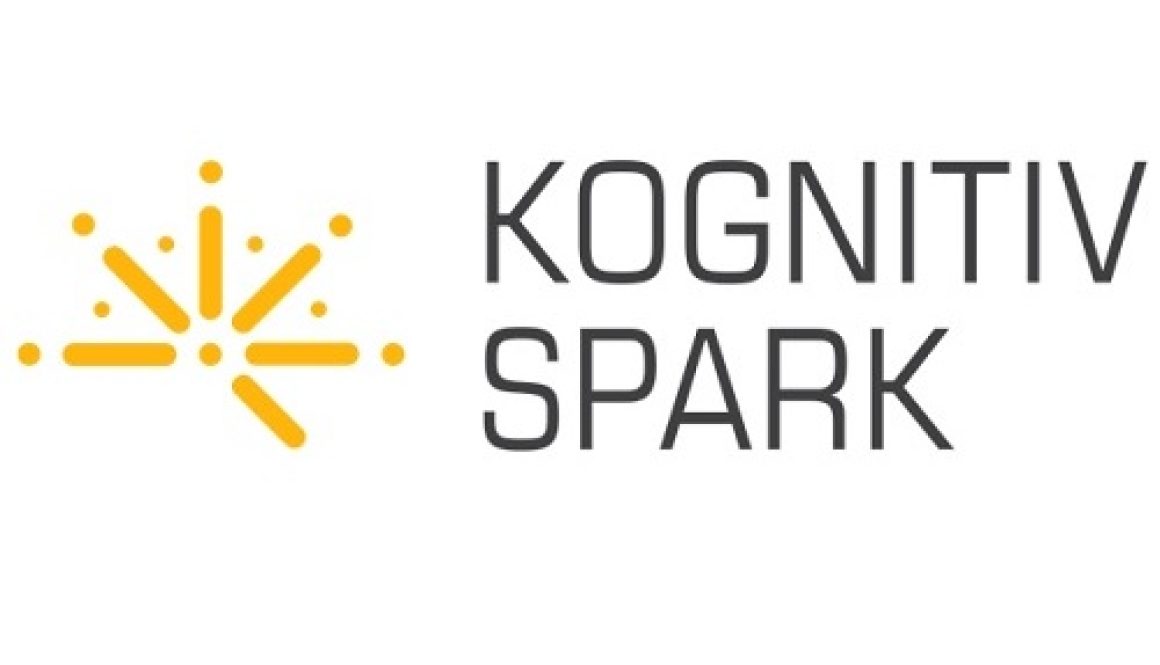 Kognitiv Website