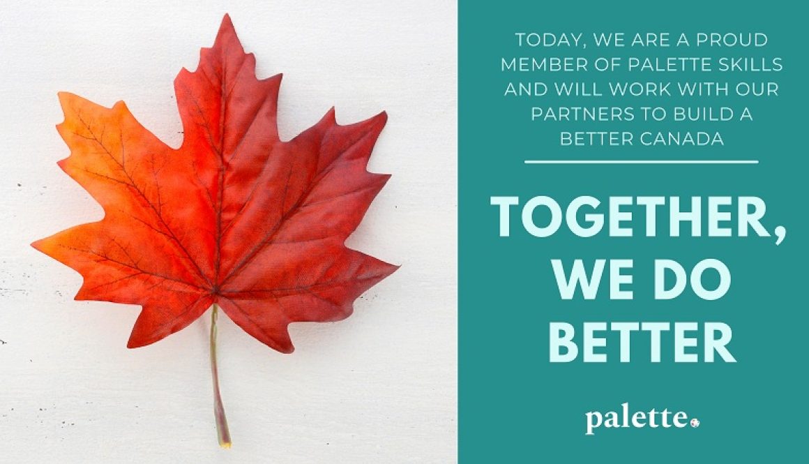 Palette Skills Partnership